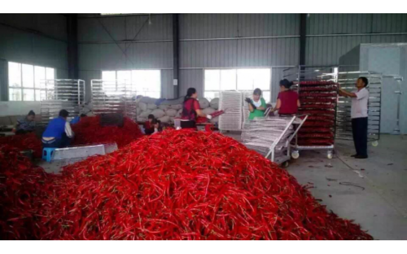 2021貴州辣椒加工產(chǎn)值150億元以上，空氣源熱泵烘干迎來(lái)爆發(fā)機(jī)遇